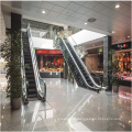 Stainless steel/aluminum commercial escalators